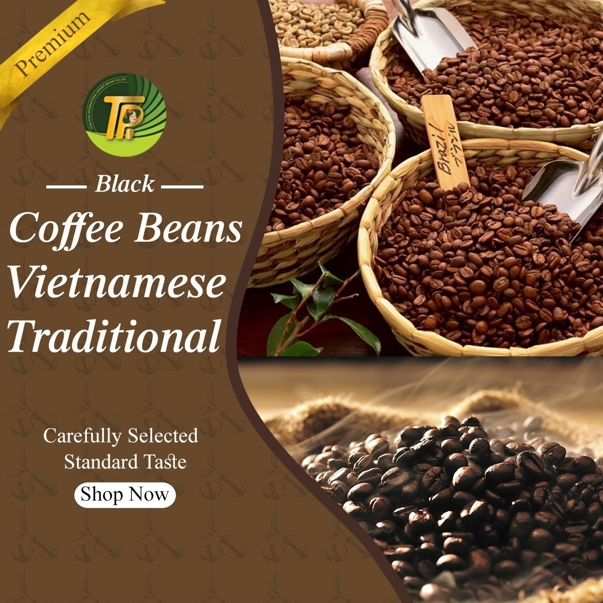 Black Coffee Beans - Toàn Phát International