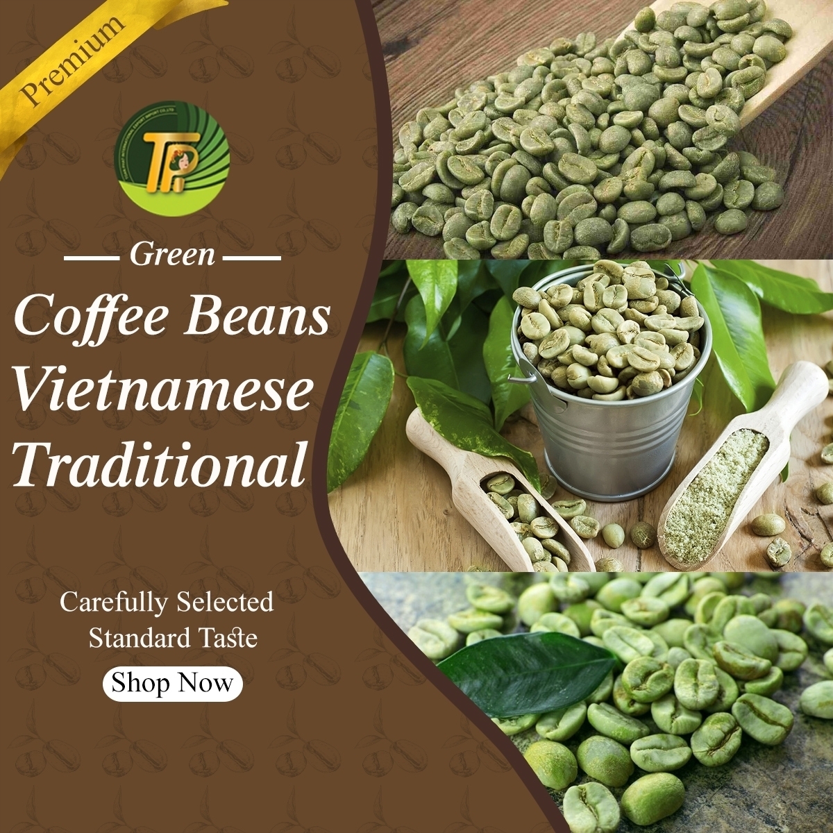 Green Coffee Beans - Toàn Phát International