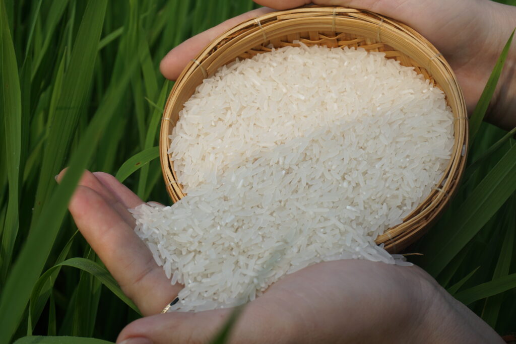 Rice Factory in Vietnam