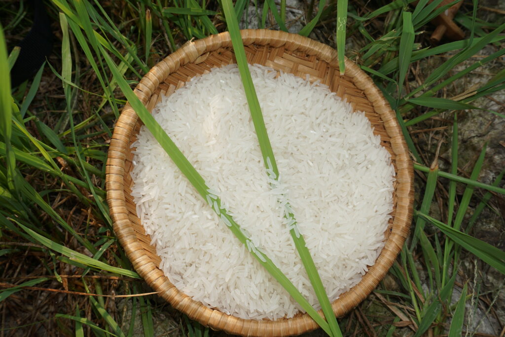  jasmine rice